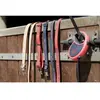Collier pour chien en nylon Diego & Louna Rouge 40 cm x 2 cm 409250040