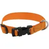 Collier pour chien Riding World Pat Orange 30 cm 409058830