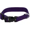 Collier pour chien Riding World Pat Violet 30 cm 409058530