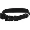 Collier pour chien Riding World Pat Noir 30 cm 409058230