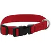 Collier pour chien Riding World Pat Rouge 30 cm 409058330