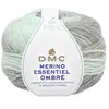 Laine Merino Essentiel Ombre - 150 g - 1006 - Vert d'eau et Gris