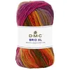 Pelote de Laine BRIO XL - 100g - DMC : Laine Epaisse Multicolore pour ...
