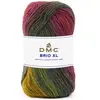 Pelote de Laine BRIO XL - 100g - DMC : Laine Epaisse Multicolore pour ...
