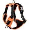 Harnais pour chien Bobby Rando Walk Orange S HRWALK_31_16