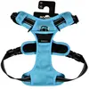 Harnais pour chien Bobby Rando Walk Bleu XL HRWALK_61_30