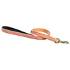 Laisse pour chien 3 positions Bobby Walk Beige 2x100 cm LSCLASS_11_100