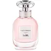 Women's Perfume Coach Dreams Coach EDP EDP 40 ml