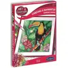 Sentosphère Sentosphere Canevas a diamanter - Toucan