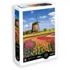 Puzzle 1000 pièces - Champs de tulipes - Hollande