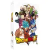 Abeille Dragon Ball Super - Partie 3 - Edition Collector Limitée A4 (DVD)