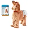 Filou Couches pour chien