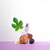Solinotes Figuier Eau de Parfum 50ml