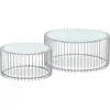 Menzzo Ensemble de 2 Tables Basses Universe Verre Blanc et Métal Gris