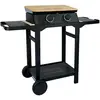 Garden Max Plancha gaz DUNE 60 SC