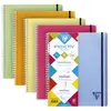Clairefontaine Cahier 160 pages A4 séyès Proactiv'Book 22,5 x 29,7 cm Modèle aléatoire