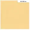 Clairefontaine Etival - Papiers dessin à grain couleur - 160g - 50 x 65 cm - Maïs