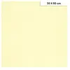 Clairefontaine Etival - Papiers dessin à grain couleur - 160g - 50 x 65 cm - Ivoire