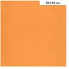 Clairefontaine Etival - Papiers dessin à grain couleur - 160g - 50 x 65 cm - Saumon