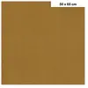 Clairefontaine Etival - Papiers dessin à grain couleur - 160g - 50 x 65 cm - Havane
