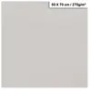 Clairefontaine Papier Maya - 270g - Gris clair - 50 x 70 cm