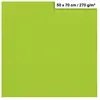 Clairefontaine Papier Maya - 270g - Vert mousse - 50 x 70 cm