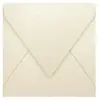 Pollen - 20 enveloppes carrées 14 x 14 cm - Ivoire irisé