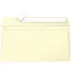 Pollen Enveloppe 120g 110x220 canari pqt 20