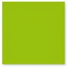 Paquet de 25 cartes simples Pollen 160x160mm Vert Menthe 210g