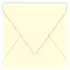 Pollen - 20 enveloppes carrées 12 x 12 cm - Ivoire