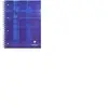 GENERIQUE Clairefontaine 82123C Bloc de conférence 80 feuilles A4 à carreaux 90 g/m² (Bleu) (Import Allemagne)