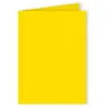 Pollen - 25 cartes doubles rectangulaires 11 x 15.5 cm - Jaune soleil