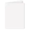 Clairefontaine - Papier Pollen carte double 110 x 155 Blanc x 25