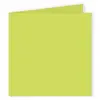 Pollen - 25 cartes doubles carrées 13.5 x 13.5 cm - Vert bourgeon