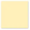 Paquet de 25 cartes simples Pollen 160x160mm Chamois 210g