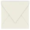 Pollen - 20 enveloppes carrées 14 x 14 cm - Gris perle