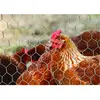Centrale Brico Grillage pour animaux triple torsion gris, H.1.5 x L.5 m, maille H.13 x l.13 mm