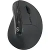 Souris sans fil ESSENTIELB Ergo Sans fil