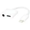 Adapateur Edenwood Lightning Et Jack Universel