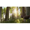 Bigben Interactive Jeu de chasse sur XB1 - Hunting Simulator