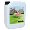 WashGuard Express - Nettoyant extérieur désincrustant version ultra ra...