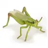 Figurine Papo Sauterelle