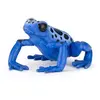 Figurine Grenouille équatoriale - Bleu - PAPO - LA VIE SAUVAGE - Enfant - Intérieur
