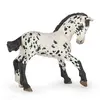 Figurine Papo Poulain Appaloosa Noir
