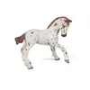 Papo Poulain Apaloosa