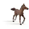 papo Chevaux, Poulains Et Poneys Poulain Anglo-Arabe