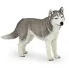 papo Chiens Et Chats Husky De Sibérie
