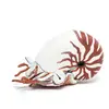Papo Figurine animal marin : Nautile