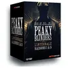 Arte Editions Coffret Peaky Blinders Saisons 1 à 5 DVD