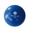 Sveltus médecine-ball 2 kg bleu